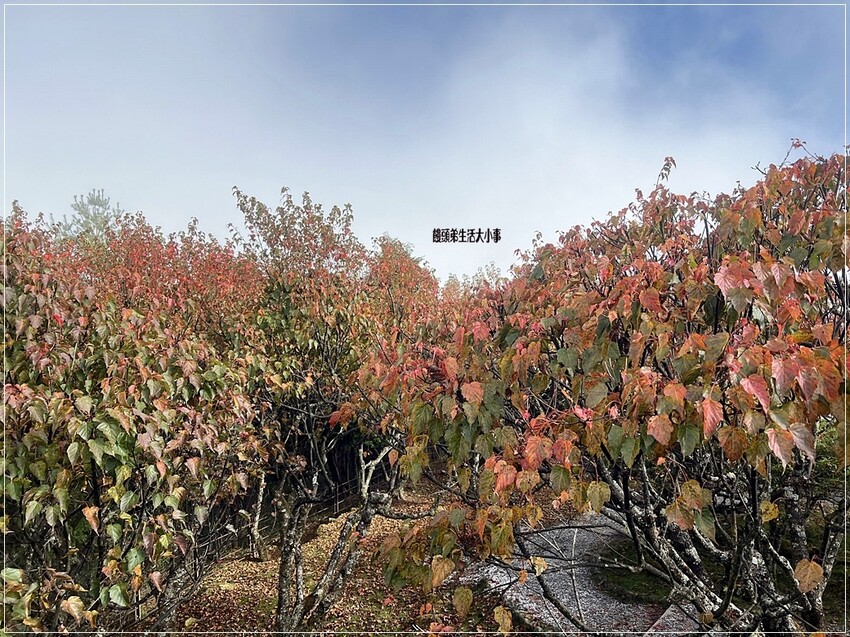 /tmp/phpkfuZ7p /tmp/phpkfuZ7p