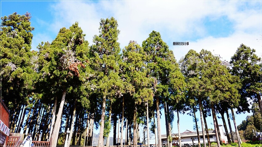 /tmp/phpZ7EXcm /tmp/phpZ7EXcm