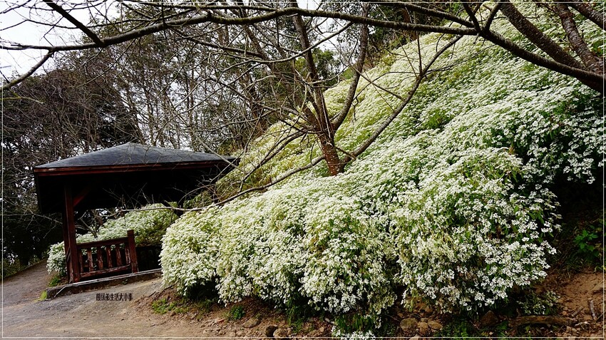 /tmp/phpYgd1eJ /tmp/phpYgd1eJ