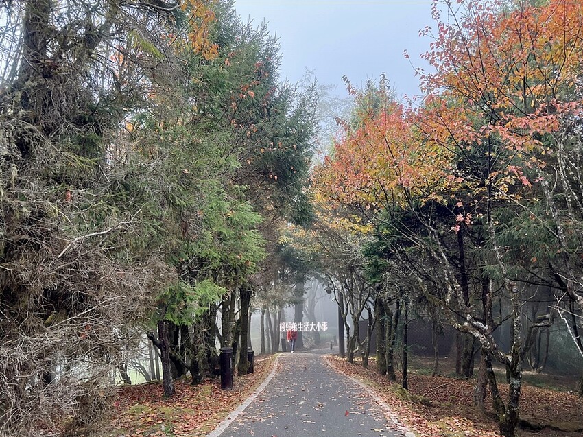 /tmp/phpOQu7QU /tmp/phpOQu7QU