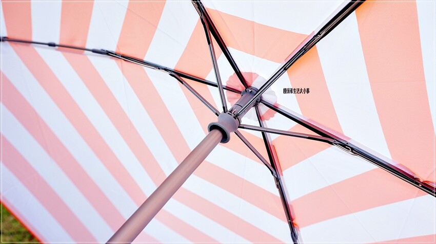 /tmp/php14FaOl /tmp/php14FaOl