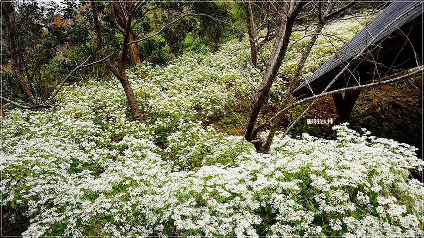 /tmp/phpdz5aR2 /tmp/phpdz5aR2