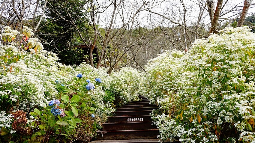 /tmp/phpovEvIl /tmp/phpovEvIl