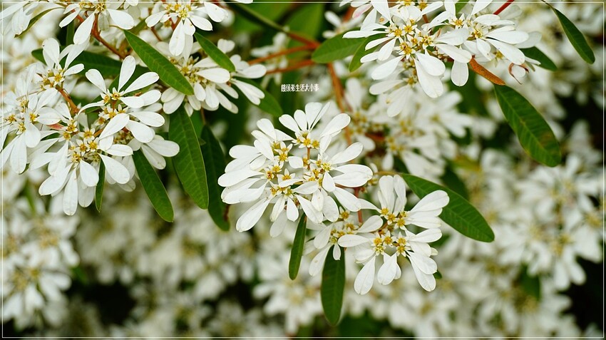 /tmp/phpaDsTPQ /tmp/phpaDsTPQ