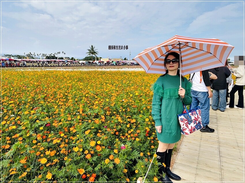 /tmp/phpqLjZnP /tmp/phpqLjZnP