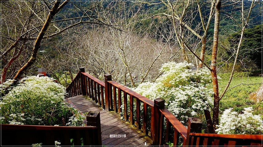 /tmp/phpTefSiu /tmp/phpTefSiu