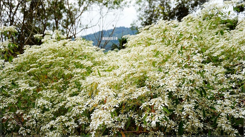 /tmp/phpehYGyo /tmp/phpehYGyo