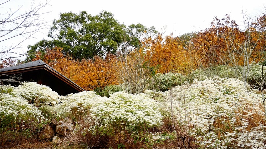 /tmp/phpc79AYA /tmp/phpc79AYA