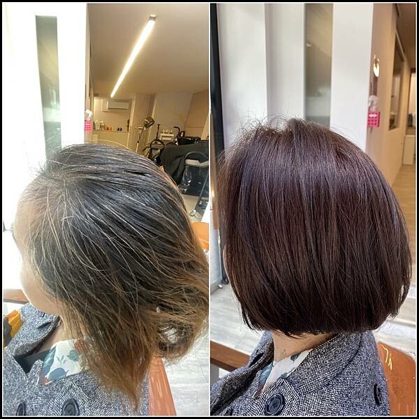 台中寵物友善髮廊｜台中染髮｜台中剪髮 推薦【VS.hair】