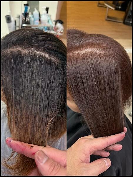 台中寵物友善髮廊｜台中染髮｜台中剪髮 推薦【VS.hair】