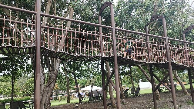 古生物奇幻樂園34