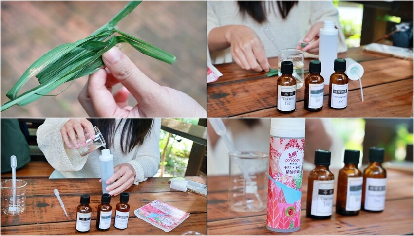 台中一日遊|2024國際花毯節,新社花海周邊景點推薦安妮公主花園、后里檸檬森林、台中后里樹生酒莊 - Kiwi 樂活食旅