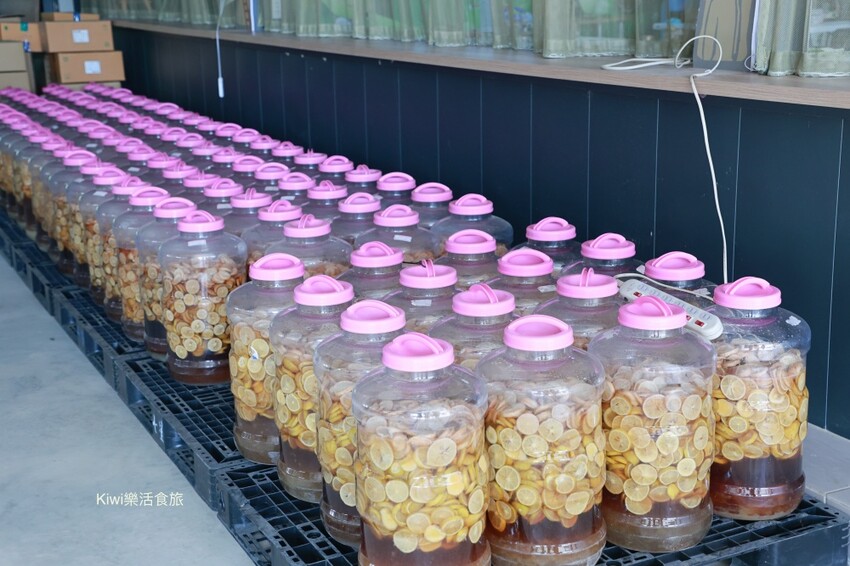 台中一日遊|2024國際花毯節,新社花海周邊景點推薦安妮公主花園、后里檸檬森林、台中后里樹生酒莊 - Kiwi 樂活食旅