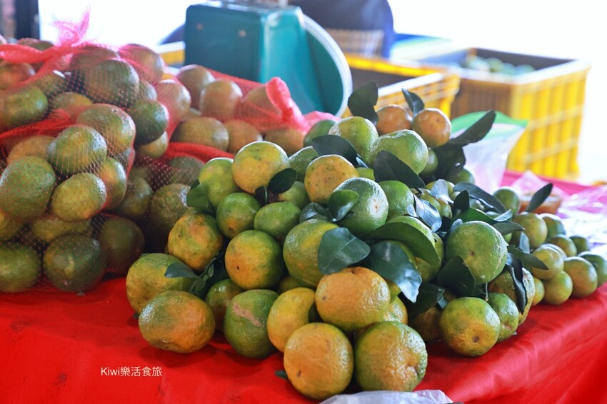 台中一日遊|2024國際花毯節,新社花海周邊景點推薦安妮公主花園、后里檸檬森林、台中后里樹生酒莊 - Kiwi 樂活食旅