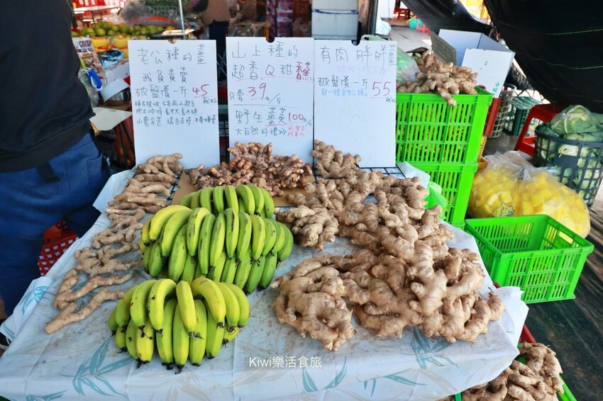 台中一日遊|2024國際花毯節,新社花海周邊景點推薦安妮公主花園、后里檸檬森林、台中后里樹生酒莊 - Kiwi 樂活食旅