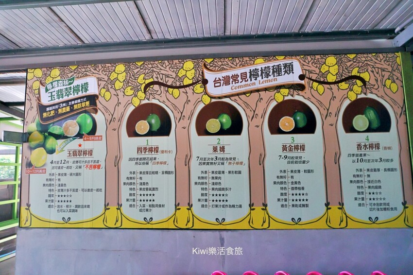 台中一日遊|2024國際花毯節,新社花海周邊景點推薦安妮公主花園、后里檸檬森林、台中后里樹生酒莊 - Kiwi 樂活食旅