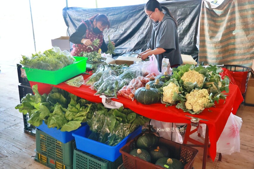 台中一日遊|2024國際花毯節,新社花海周邊景點推薦安妮公主花園、后里檸檬森林、台中后里樹生酒莊 - Kiwi 樂活食旅
