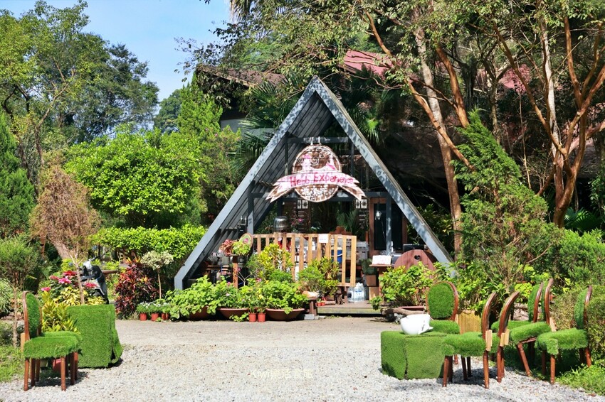 台中一日遊|2024國際花毯節,新社花海周邊景點推薦安妮公主花園、后里檸檬森林、台中后里樹生酒莊 - Kiwi 樂活食旅