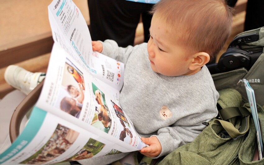 韓國親子景點「江原道羊駝世界」羊駝大軍奔跑超壯觀,近距離接觸水豚 兔子。