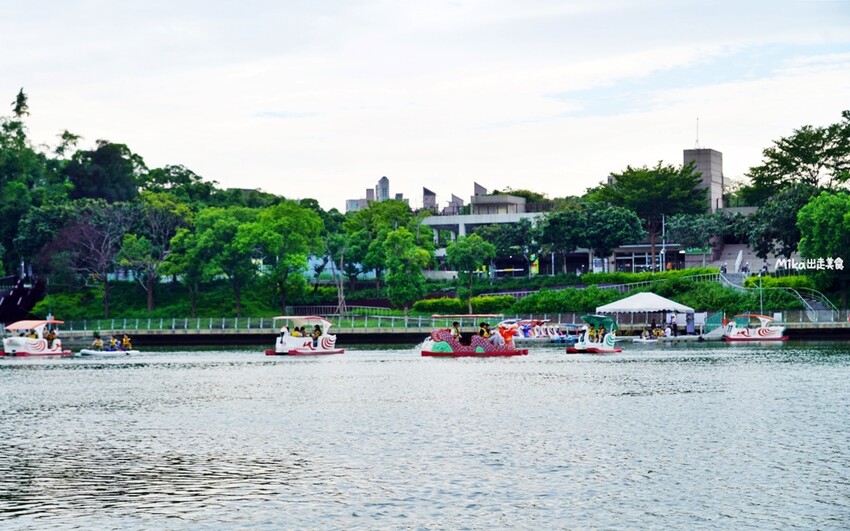 新竹青草湖SUP立槳體驗！天鵝船水上活動 交通資訊 價目表全攻略。