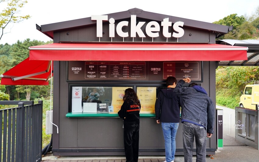 韓國親子景點「江原道羊駝世界」羊駝大軍奔跑超壯觀,近距離接觸水豚 兔子。