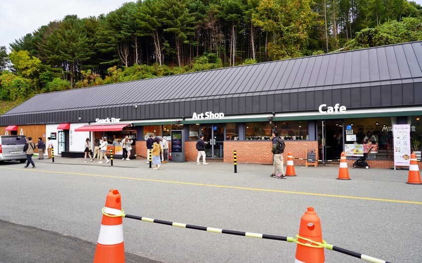 韓國親子景點「江原道羊駝世界」羊駝大軍奔跑超壯觀,近距離接觸水豚 兔子。