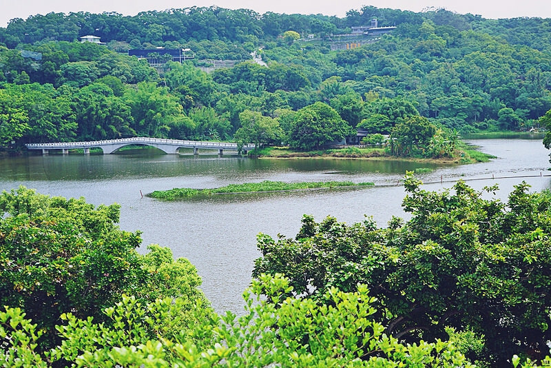 新竹青草湖SUP立槳體驗！天鵝船水上活動 交通資訊 價目表全攻略。