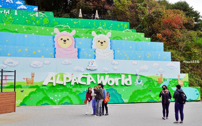 韓國親子景點「江原道羊駝世界」羊駝大軍奔跑超壯觀,近距離接觸水豚 兔子。