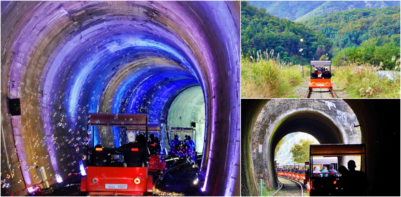 韓國親子景點「江原道羊駝世界」羊駝大軍奔跑超壯觀,近距離接觸水豚 兔子。