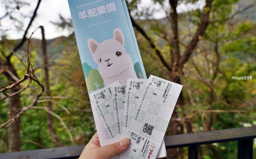 韓國親子景點「江原道羊駝世界」羊駝大軍奔跑超壯觀,近距離接觸水豚 兔子。