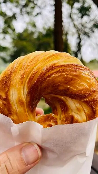 IMG_6532.jpg IMG_6532.jpg