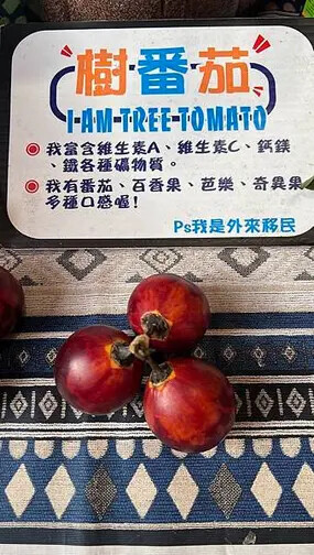 IMG_5140 (1).JPG IMG_5140 (1).JPG