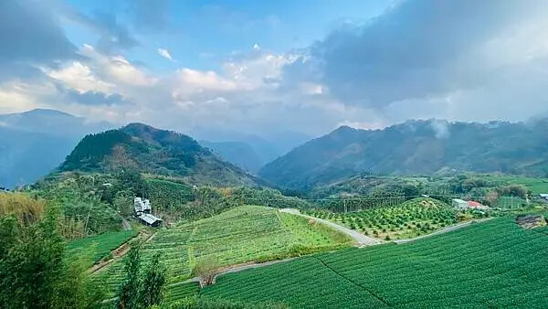 IMG_6669.jpg IMG_6669.jpg