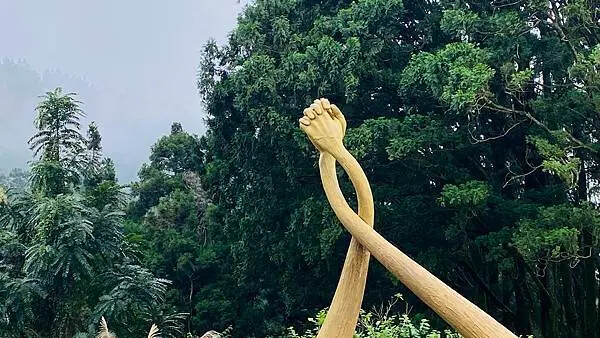 IMG_6547.jpg IMG_6547.jpg