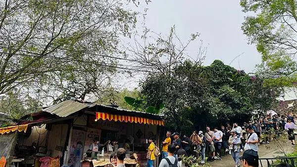 IMG_6533.jpg IMG_6533.jpg