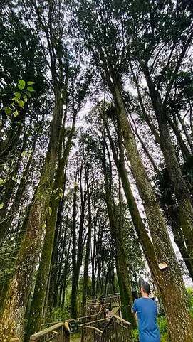 IMG_6540.jpg IMG_6540.jpg