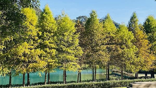 IMG_0017.jpg IMG_0017.jpg