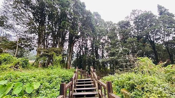 IMG_6535.jpg IMG_6535.jpg