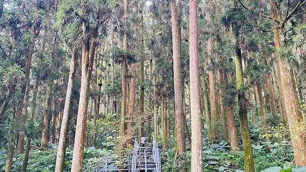 IMG_6563.jpg IMG_6563.jpg