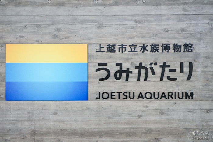 日本新潟必訪「上越市立水族博物館」世界最多麥哲倫企鵝 海底隧道超震撼。