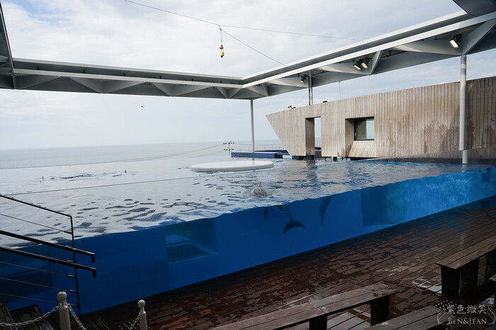 日本新潟必訪「上越市立水族博物館」世界最多麥哲倫企鵝 海底隧道超震撼。