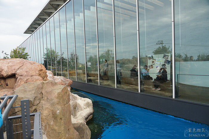 日本新潟必訪「上越市立水族博物館」世界最多麥哲倫企鵝 海底隧道超震撼。