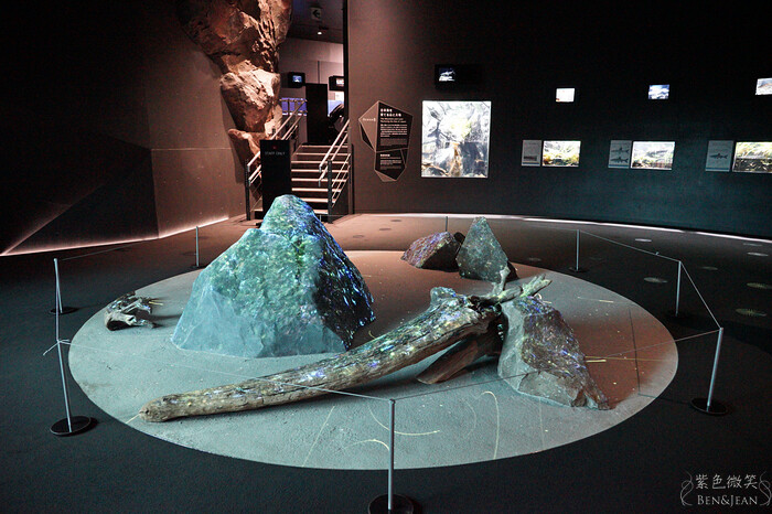 日本新潟必訪「上越市立水族博物館」世界最多麥哲倫企鵝 海底隧道超震撼。