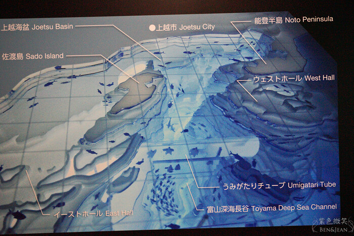 日本新潟必訪「上越市立水族博物館」世界最多麥哲倫企鵝 海底隧道超震撼。