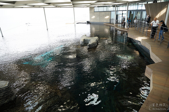 日本新潟必訪「上越市立水族博物館」世界最多麥哲倫企鵝 海底隧道超震撼。