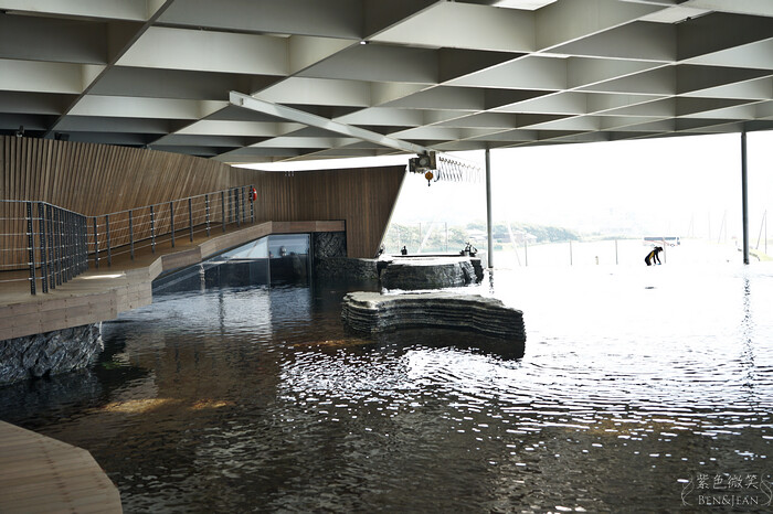 日本新潟必訪「上越市立水族博物館」世界最多麥哲倫企鵝 海底隧道超震撼。