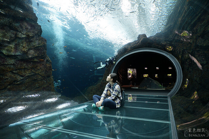 日本新潟必訪「上越市立水族博物館」世界最多麥哲倫企鵝 海底隧道超震撼。