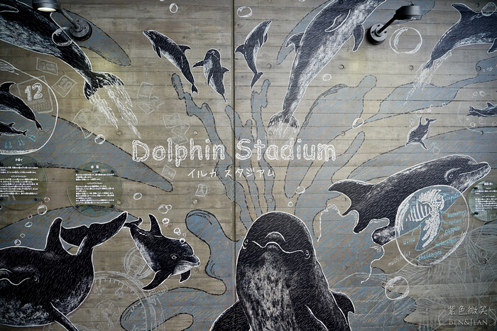 日本新潟必訪「上越市立水族博物館」世界最多麥哲倫企鵝 海底隧道超震撼。