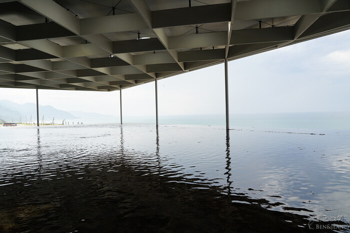 日本新潟必訪「上越市立水族博物館」世界最多麥哲倫企鵝 海底隧道超震撼。