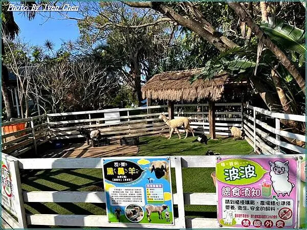 《桃園觀音休閒農場餐廳》跟著楊梅社大薩克斯風團班歡度聖誕節 